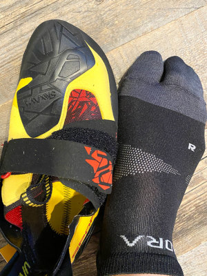 �e�w�ł������蓥�߂�I