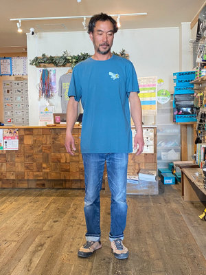 �g��178cm/66kg/XL���p