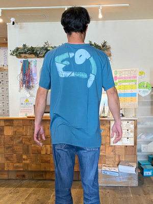 �g��178cm/66kg/XL���p