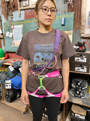 �g��156cm/55cm���p