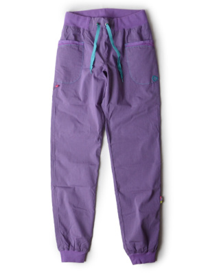 WISTERIA/�E�B�X�e���A