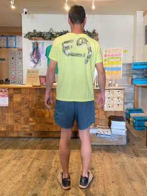 �g��178cm/66kg/L���p